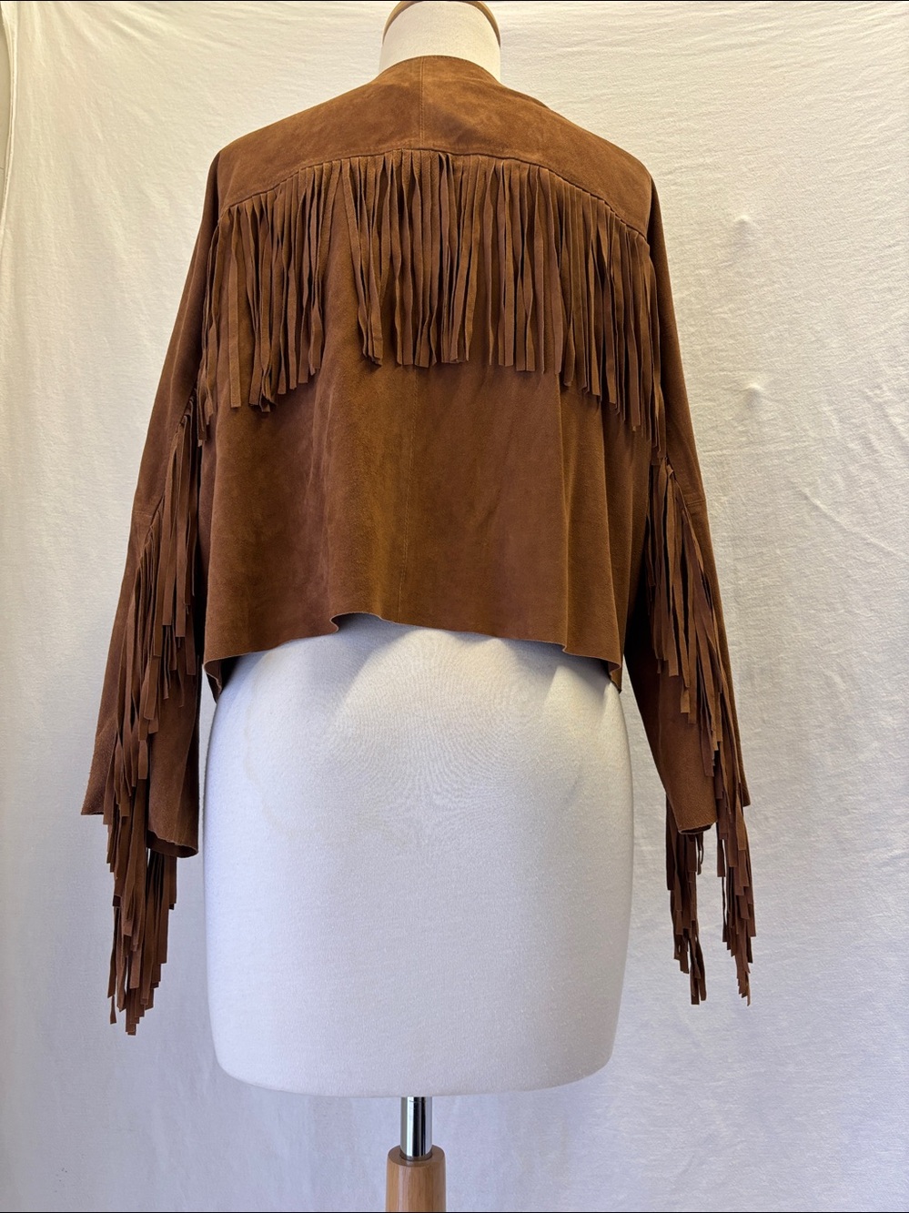 NWOT American Eagle Outfitters Goat Suede Leather Fringed Jacket - Picture 6 of 6